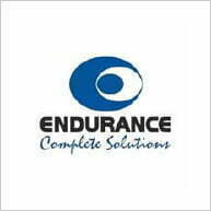 endurance complete solutions logo