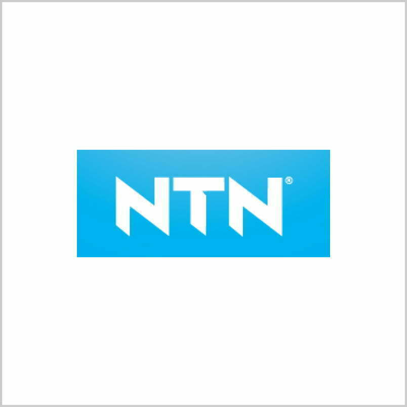 ntn logo